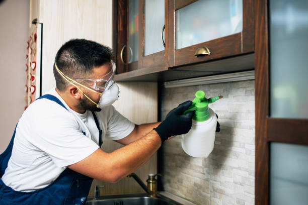 Best Emergency Pest Control  in Lake Lakengren, OH