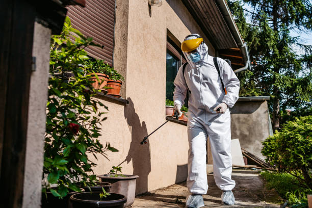 Best Bed Bug Extermination  in Lake Lakengren, OH