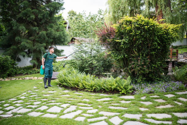 Best Local Pest Control Services  in Lake Lakengren, OH