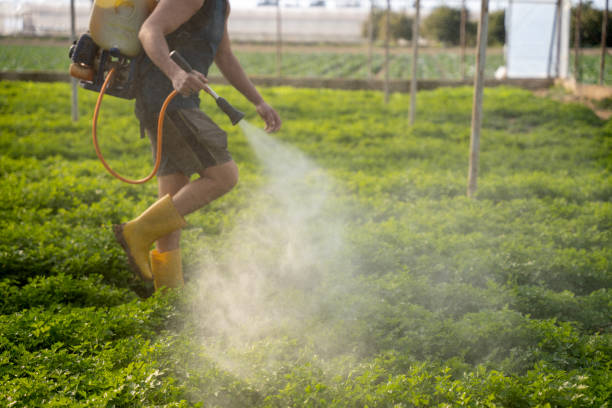 Best Best Pest Control Companies  in Lake Lakengren, OH