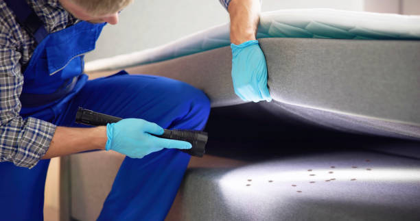 Best Bed Bug Extermination  in Lake Lakengren, OH