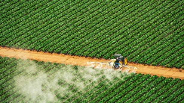 Best Best Pest Control Companies  in Lake Lakengren, OH