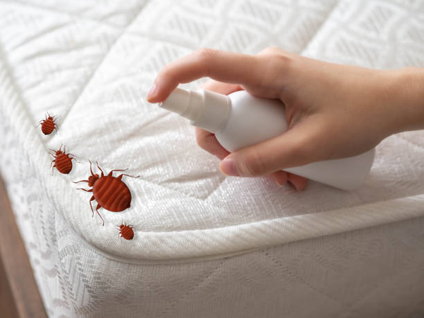 Pest Control for Restaurants in Lake Lakengren, OH