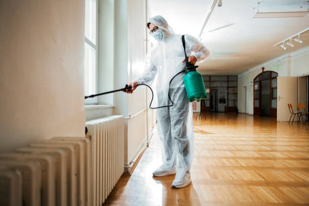 Best Flea Control Services  in Lake Lakengren, OH