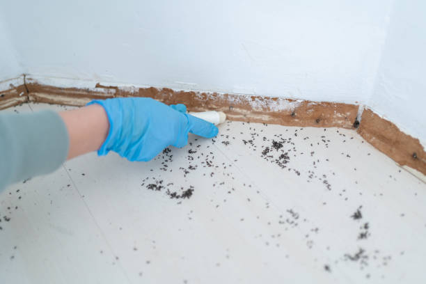 Best Wasp Removal Services  in Lake Lakengren, OH