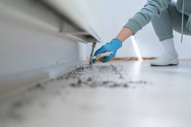 Best Pest Control Treatment  in Lake Lakengren, OH